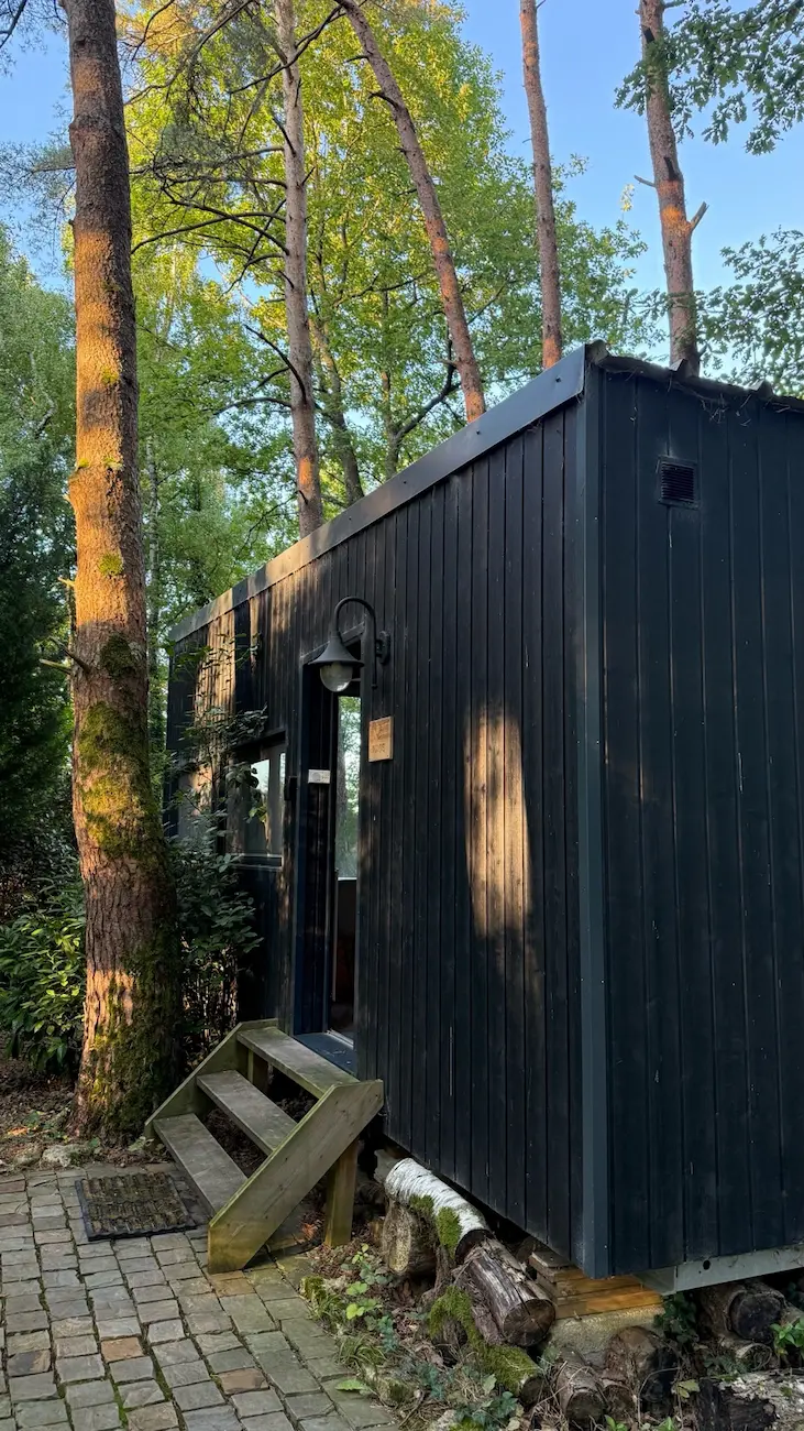 Photo utilisé pour créer mon affiche