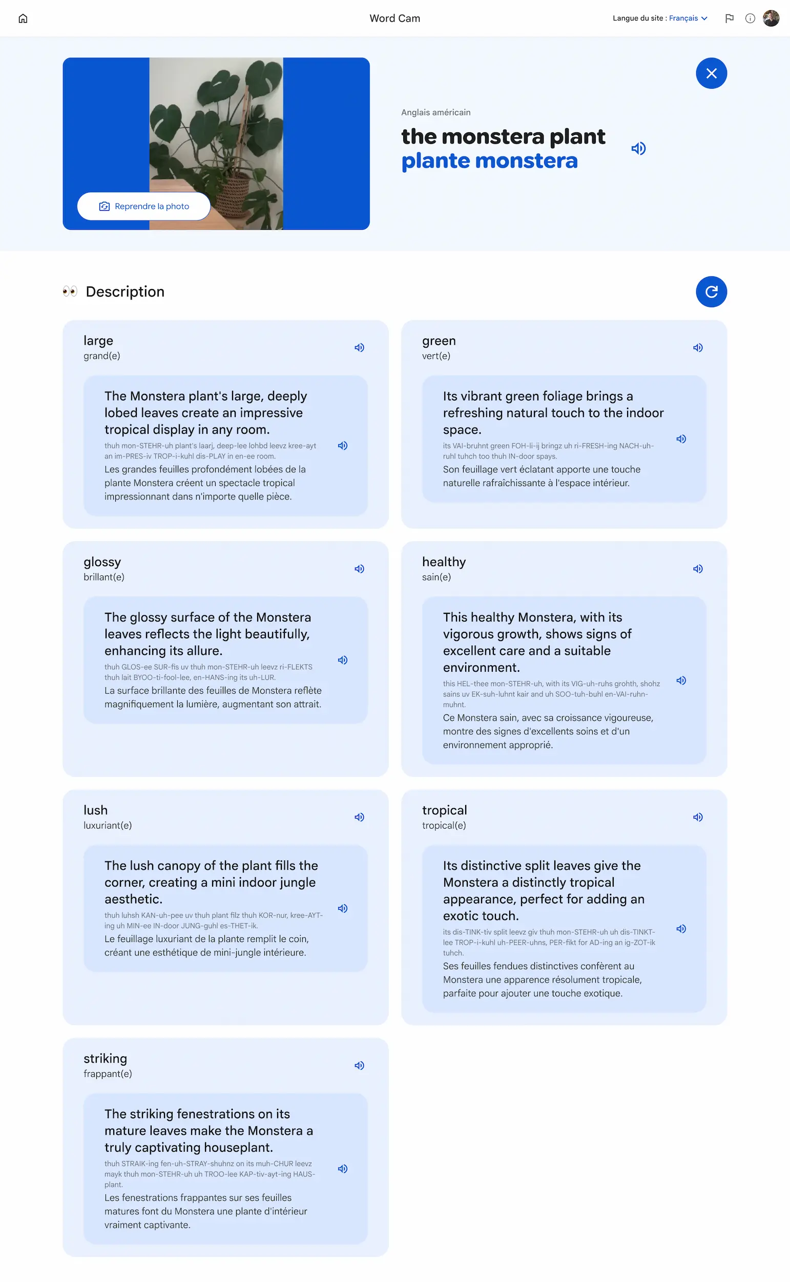 Little language lessons : Word Cam